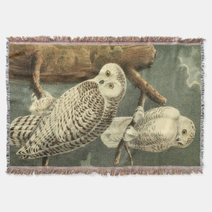 Snowy Owl Audubon Bird Artwork Throw Blanket