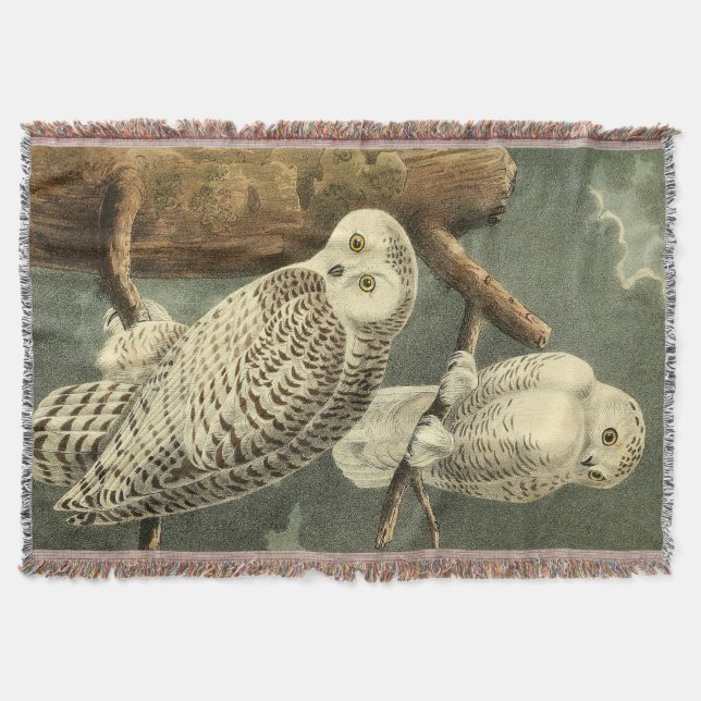Snowy Owl Audubon Bird Artwork Throw Blanket (Front)