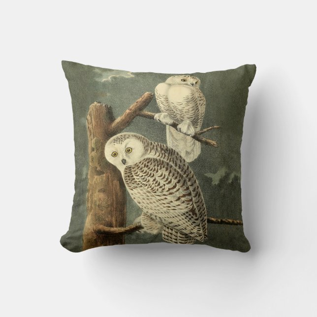 Snowy Owl Audubon Bird Artwork Throw Pillow (Front)