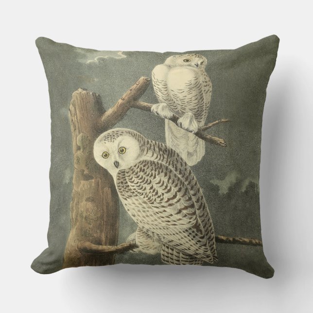 Snowy Owl Audubon Bird Artwork Throw Pillow (Front)