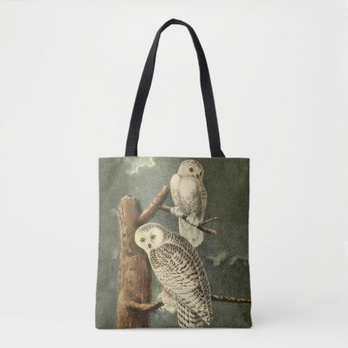 Snowy Owl Audubon Bird Artwork Tote Bag