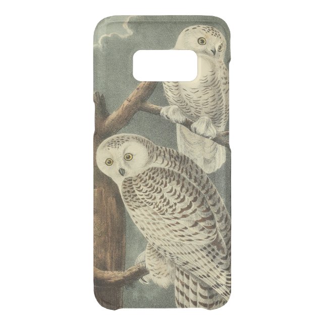 Snowy Owl Audubon Bird Artwork Uncommon Samsung Galaxy Case (Back)