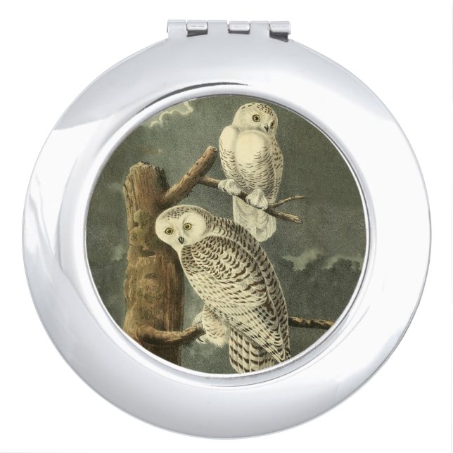 Snowy Owl Audubon Bird Artwork Vanity Mirror (Front)