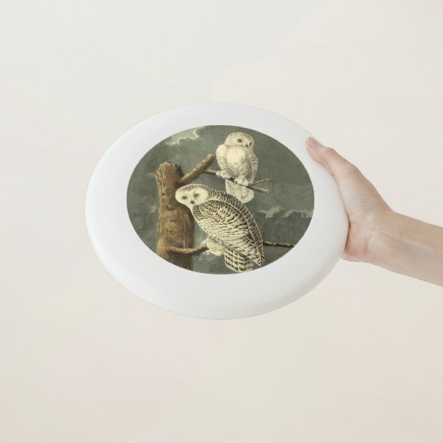 Snowy Owl Audubon Bird Artwork Wham-O Frisbee (In Hand)