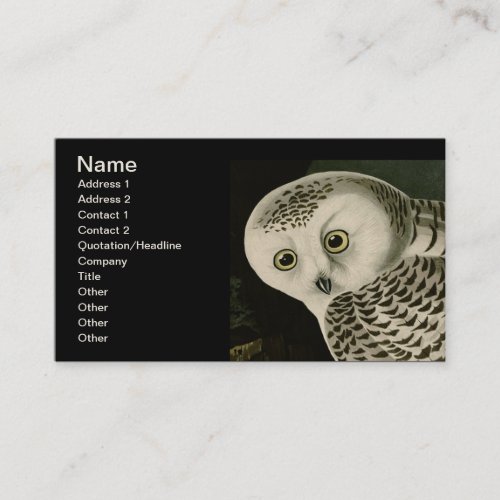 Snowy Owl, John James Audubon Business Card Template