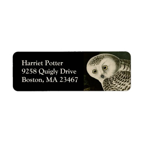 Snowy Owl _ Audubon Fine Vintage Birds America Label