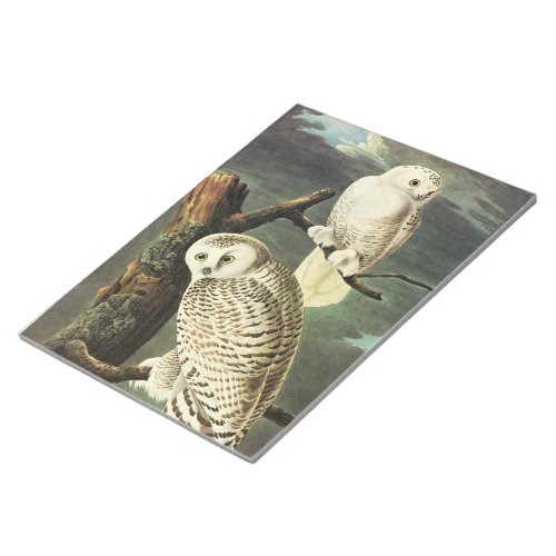 Snowy Owl _ Audubon Fine Vintage Birds America Notepad