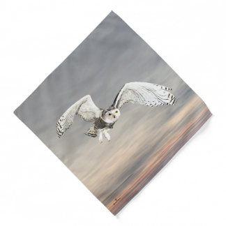 Snowy Owl Bandana