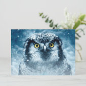 Snowy Owl Big Eyes (Standing Front)