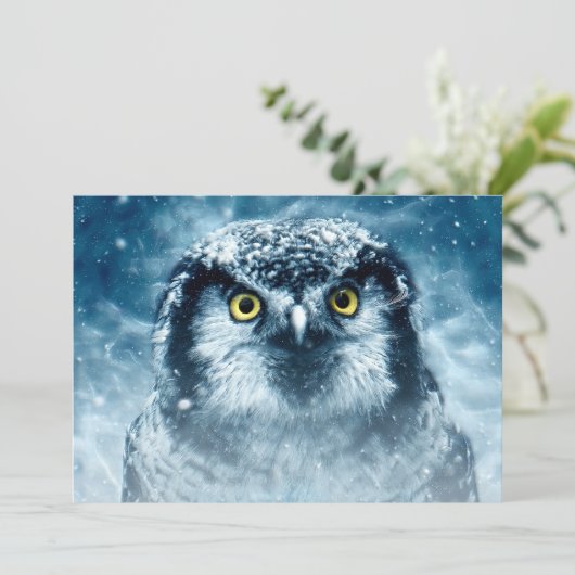 Snowy Owl Big Eyes (Standing Front)