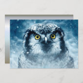 Snowy Owl Big Eyes (Front/Back)