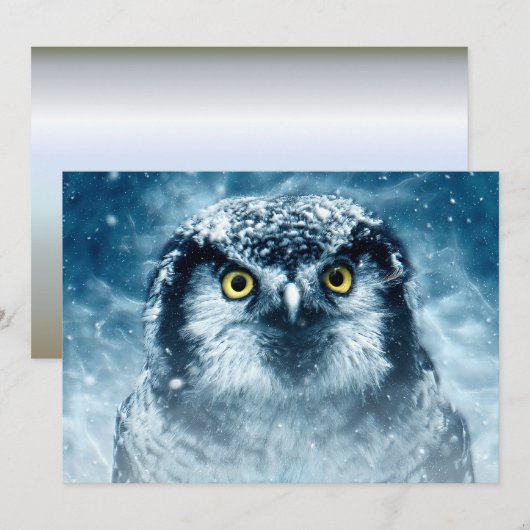 Snowy Owl Big Eyes (Front/Back)