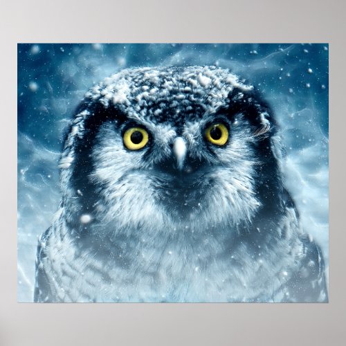 Snowy Owl Big Eyes Poster