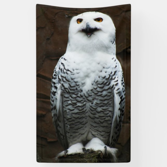Snowy Owl bnra Banner (Vertical)