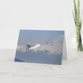 Snowy Owl, Boundary Bay, Mt. Baker, BC Holiday Card