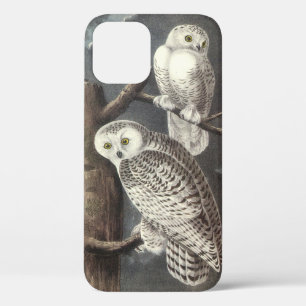 Snowy Owl by Audubon iPhone 12 Case