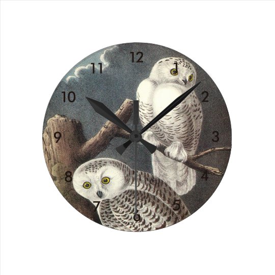 Snowy Owl by Audubon Round Clock | Zazzle.com