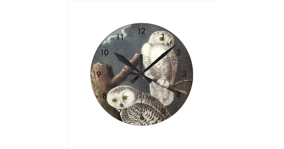 Snowy Owl by Audubon Round Clock | Zazzle.com