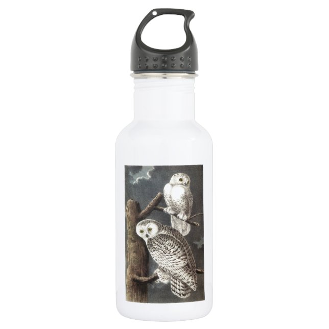 Snowy Owl by Audubon Stainless Steel Water Bottle (Front)