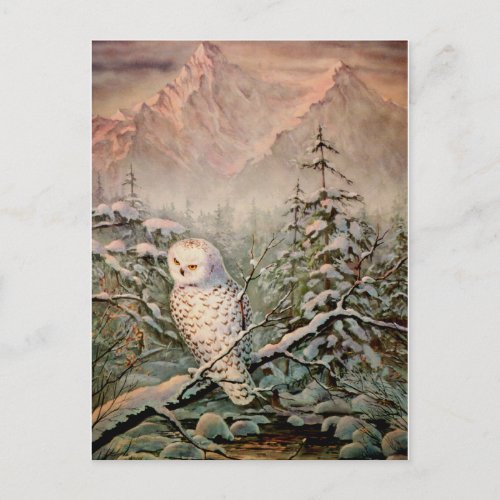 SNOWY OWL by SHARON SHARPE Postcard