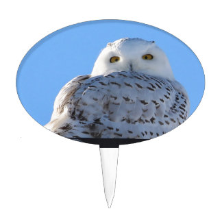 Snowy owl cake topper