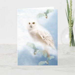 Snowy Owl Card