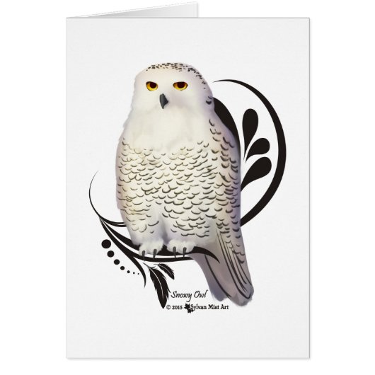 Snowy Owl Cards (Front)