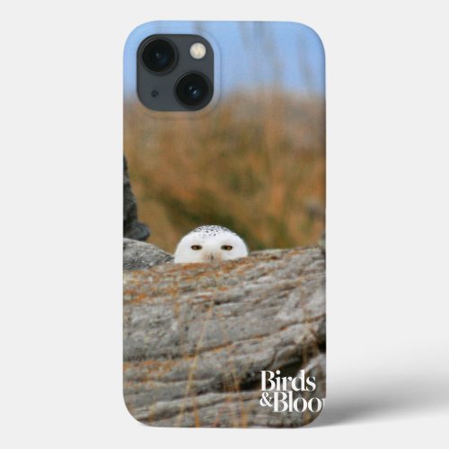 Snowy Owl iPhone 13 Case