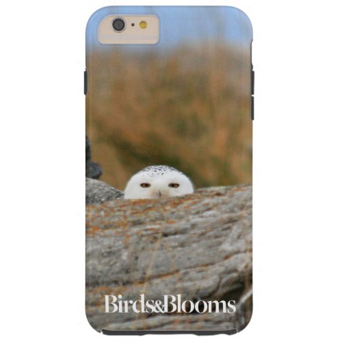 Snowy Owl Tough iPhone 6 Plus Case