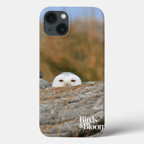 Snowy Owl iPhone 13 Case