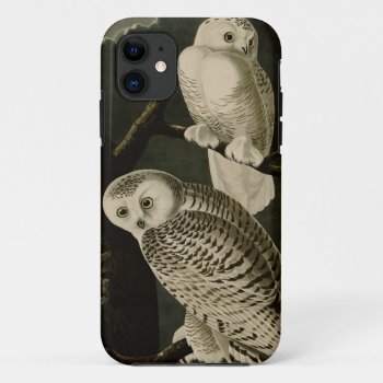Snowy Owl Iphone 11 Case by birdpictures at Zazzle