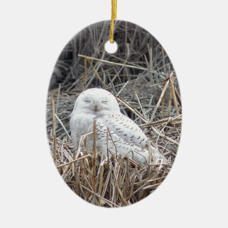 snowy owl ceramic ornament
