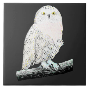 Snowy Owl Ceramic Tile