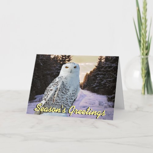 Snowy owl Christmas card