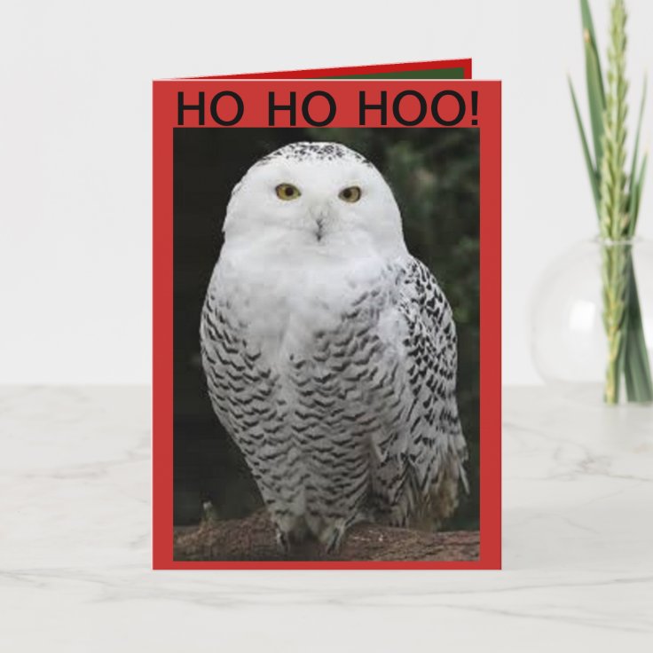 Snowy Owl Christmas card | Zazzle