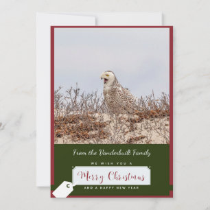 Snowy Owl Christmas Card