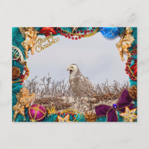 Snowy Owl Christmas Card