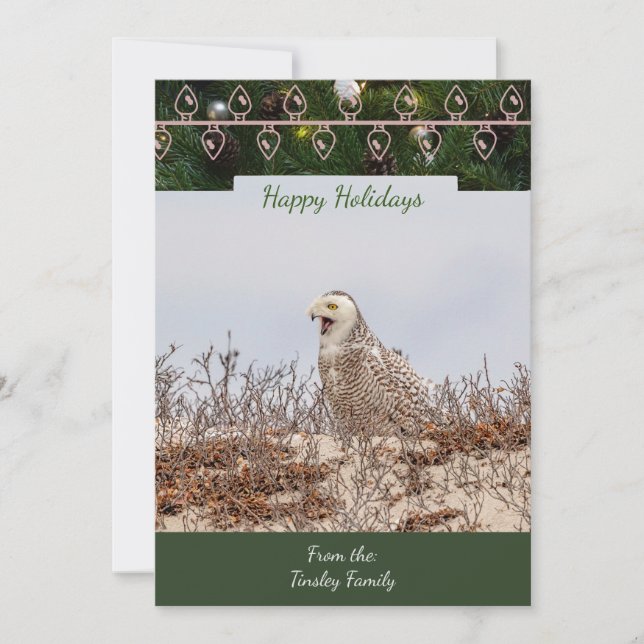 Snowy Owl Christmas Card (Front)