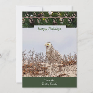 Snowy Owl Christmas Card