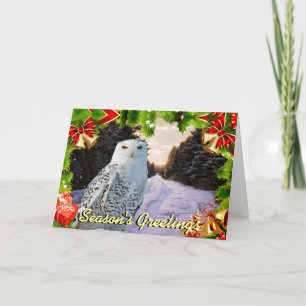 Snowy owl Christmas card