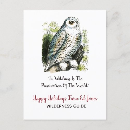 Snowy Owl Christmas Holiday Postcard