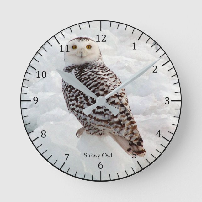 Snowy Owl clock (Front)