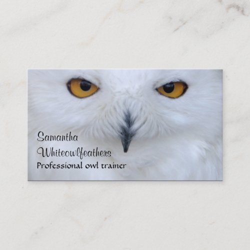 Snowy owl close up photo business card