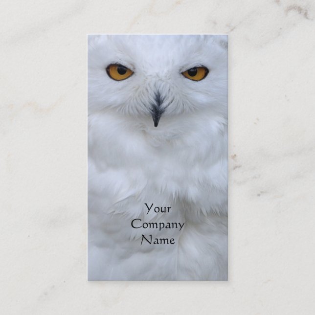 Snowy owl close up photo business card (Front)