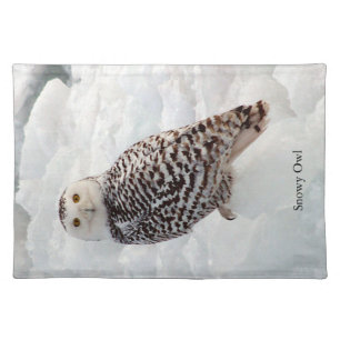 Snowy Owl cloth placemat