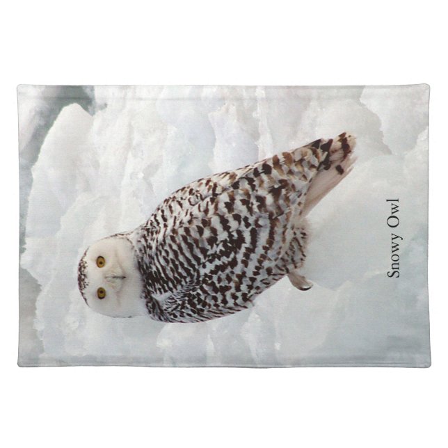 Snowy Owl cloth placemat (Front)