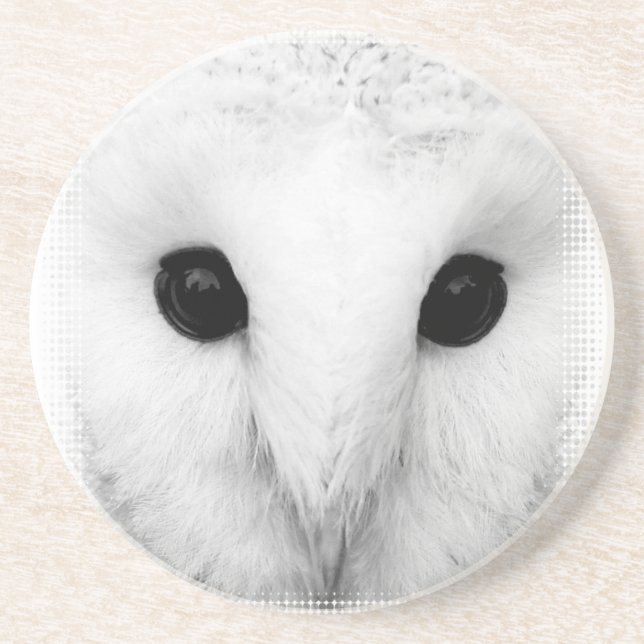 Snowy Owl Coaster (Front)
