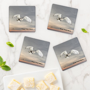 Snowy Owl Coaster Set