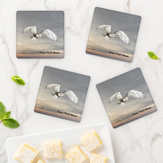 Snowy Owl Coaster Set (In Situ)