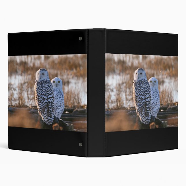 Snowy Owl Couple 3 Ring Binder (Background)